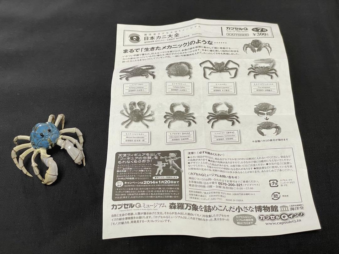 Amazon.co.jp: 日本カニ大全(カプセルQ) KAIYODO 海洋堂 No.5 ミナミ